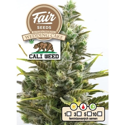 Fair Seeds Wedding Cake AUTO semena neobsahují THC 10 ks