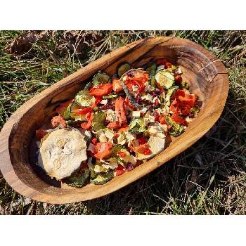 Вълшебната гора " Вълшебната гора" - Микс от сушени зеленчуци, 100гр