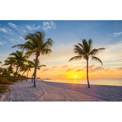 DIMEX ART Флизелинов фототапет плаж смадърс 375 x 250 см