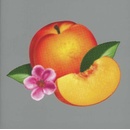 Phoenix - Bankrupt!
