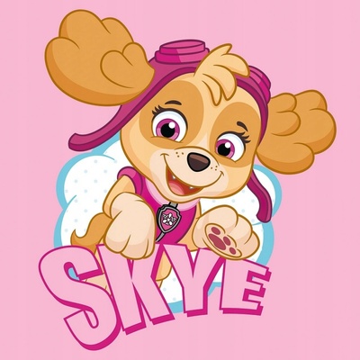 Carbotex detský lisovaný bavlnený uterák 30 x 30 cm Paw Patrol