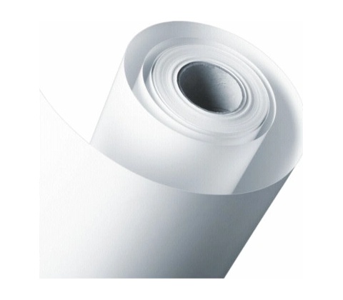 Epson S041895
