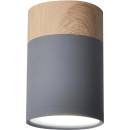 Candellux CA0405