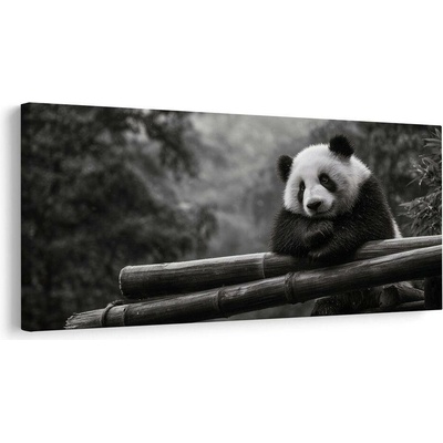 Obraz klidná panda v přírodě - 120x60