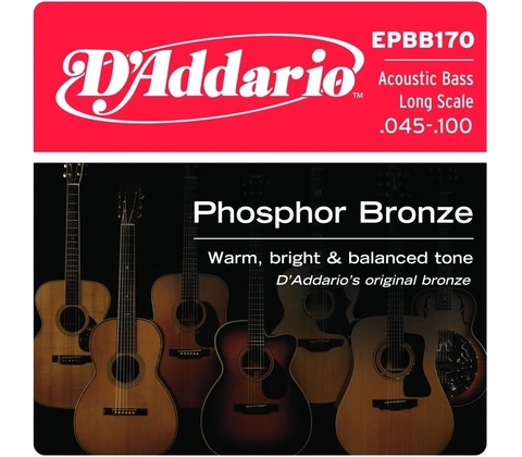 D'addario EPBB170