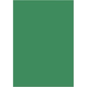 Цветен картон Papicolor A4 270 g/m2 10 л. Т. зел (A4 270)
