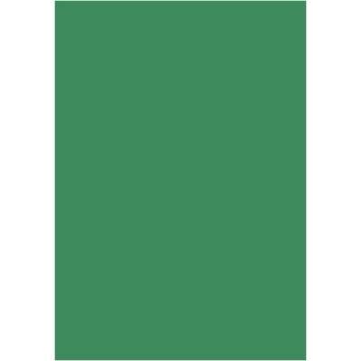 Цветен картон Papicolor A4 270 g/m2 10 л. Т. зел (A4 270)