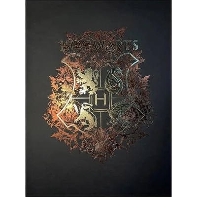 imago Obraz Harry Potter - Znak Rokfortu