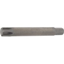 Triumf Ribe M13 100-02844