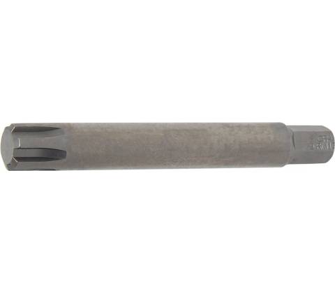 Triumf Ribe M13 100-02844