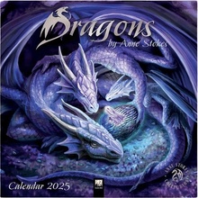 Dragons by Anne Stokes Wall Art Calendar 2025