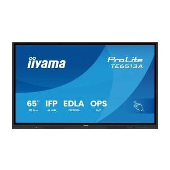 iiyama ProLite TE6513A-B2AG