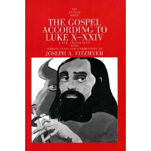 Gospel According to Luke X-XXIV | Joseph A Fitzmyer (ISBN: 9780300139815)