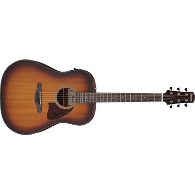 Ibanez AAD54E-OMH
