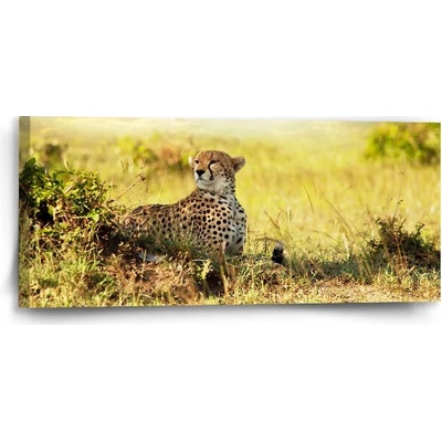 Sablio Obraz Gepard - 110x50 cm