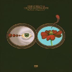 Chris Forsyth & The Solar Motel Band - The Rarity Of Experience (2 LP) (616892353843)