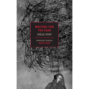 Waiting for the Fear (ISBN: 9781681377964)