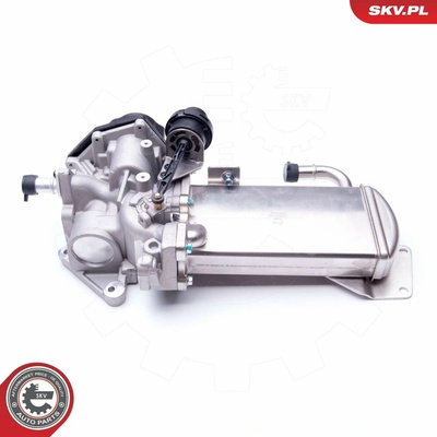 AGR-Ventil ESEN SKV 14SKV153