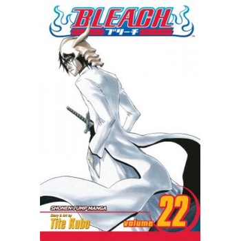 Bleach Kubo Tite