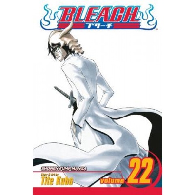 Bleach Kubo Tite