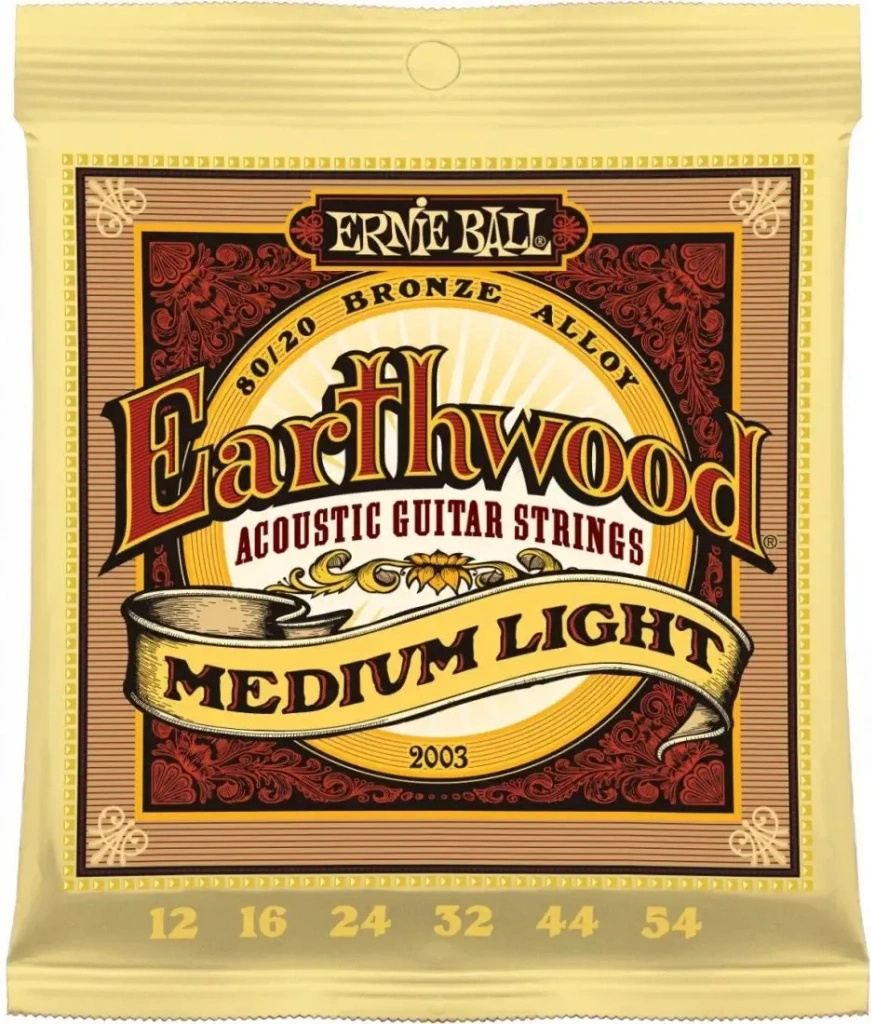 Ernie Ball 2003