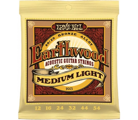 Ernie Ball 2003