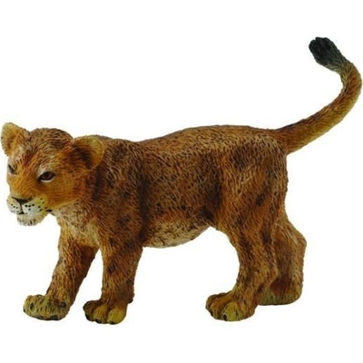 Collecta Levíča stojace