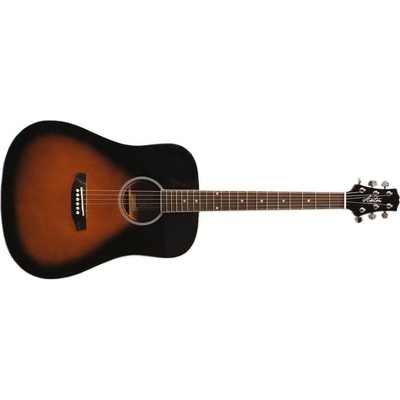 Ashton D20SW