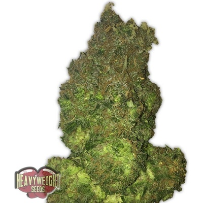 Heavyweight Seeds Fruit Punch AUTO semena neobsahují THC 3 ks