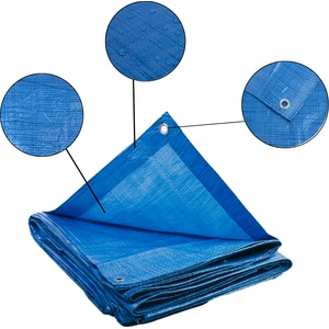 Bestent Синьо брезентово покритие 3x3m 60g/m2 (PL3/3)