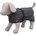 Calvi coat