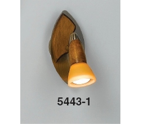 Globo 5443-1