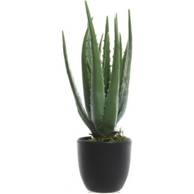 Umělá aloe vera, v květináči, zelená, výška 35 cm