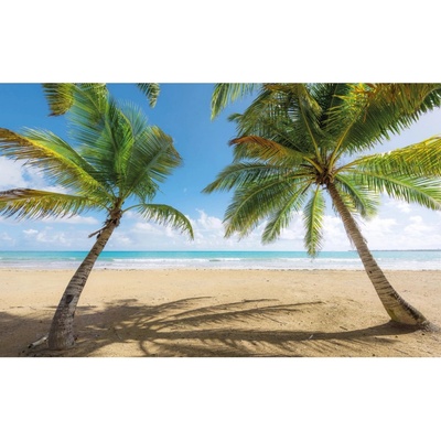 Komar Vliesová fototapeta Caribbean Days II 450 x 280 cm