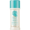 Deodoranty a antiperspiranty Elizabeth Arden Blue Grass Cream deostick Woman 40 ml