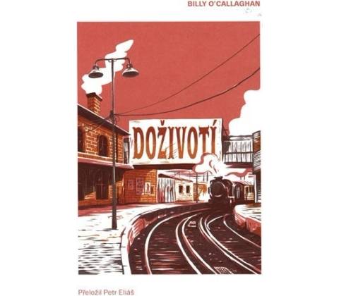 Doživotí