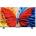 TCL 40S59K