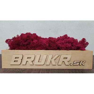 Stabilizovaný mach - Nórsky lišajník - fuchsia ( Fuchsia ) 4kg