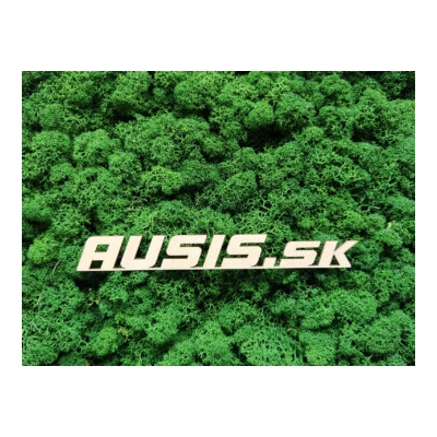 Stabilizovaný mach lišajník
