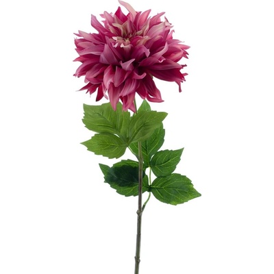 Jiřinka - Dahlia 'Mumba' červená (beauty) V63 cm (N968716)