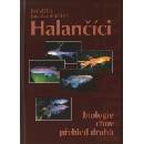 Halančíci