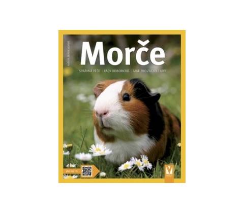 Morče