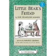 Little Bear's Friend