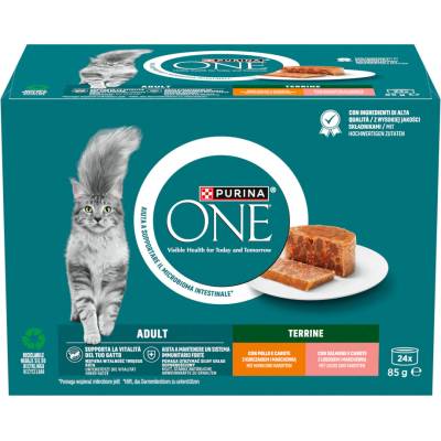 Purina One Adult kapsičky kuře, losos, mrkev 24 x 85 g