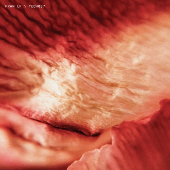 Fran LF - TECH037 (bb4d5ff4-e70c-4d63-b50e-df931b4bb4c3)
