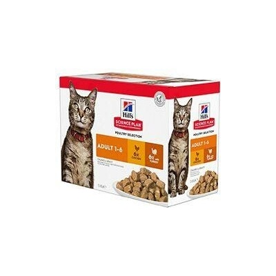 Hill's Fel. SP Adult Chicken & Turkey 12 x 85 g