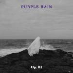 Daniel Shopping s. r. o Purple Rain: Op. 01 - CD (034531)
