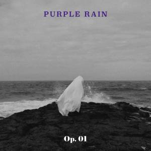 Daniel Shopping s. r. o Purple Rain: Op. 01 - CD (034531)