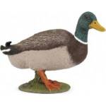 Papo Crossword duck