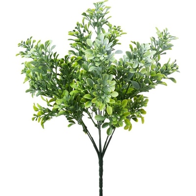 ZELEŇ DROB. LÍSTKY ZELENO-BIELA 34CM